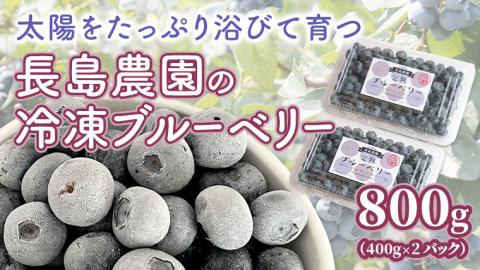 冷凍 ブルーベリー 800g 冷凍ブルーベリー 国産 茨城県産 ベリー 冷凍果実 フルーツ 果物 くだもの 自家製栽培 [AK005sa]