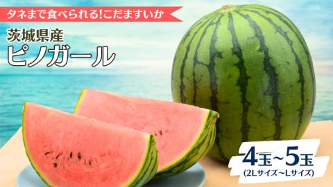 こだますいか ピノガール 4～5玉 《2026年5月中旬から発送開始》 すいか 小玉すいか 小玉 スイカ 果物 フルーツ [BQ017sa]