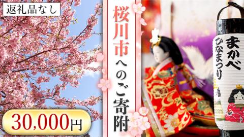 【返礼品なし】桜川市へのご寄附30,000円[BR003sa]
