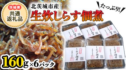生炊しらす佃煮160g×6パック( 茨城県共通返礼品 北茨城市 ) しらす 佃煮 茨城県[BV004sa]