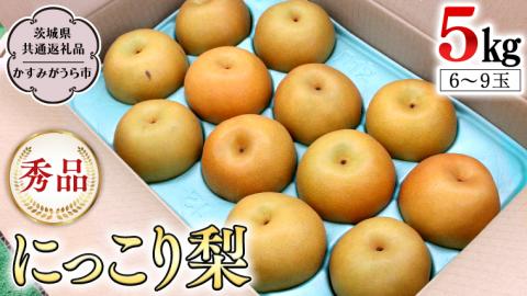 【2023年10月上旬発送開始】 にっこり梨 5kg 箱 秀品 6玉～9玉 (茨城県共通返礼品 かすみがうら市)  産地直送 フルーツ 甘い お正月 にっこり [DI001sa]