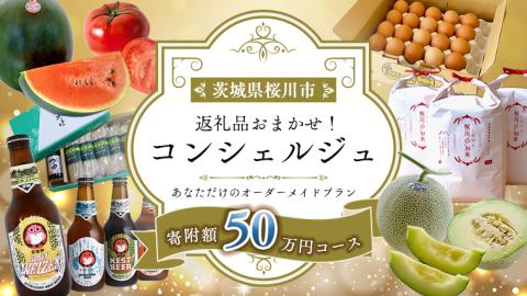 【 茨城県桜川市 コンシェルジュ】 返礼品おまかせ！寄附額 50万円 コース オーダーメイド サービス ピックアップ 高額 代行 お好み セット [BR014sa]