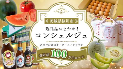 【 茨城県桜川市 コンシェルジュ】 返礼品おまかせ！寄附額 100万円 コース オーダーメイド サービス ピックアップ 高額 代行 お好み セット 詰め合わせ [BR015sa]