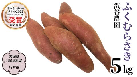 ふくむらさき 約5kg (茨城県共通返礼品／行方市) 2025年11月から発送開始 渋谷農園 さつまいも いも 芋 焼き芋 [DT003sa]