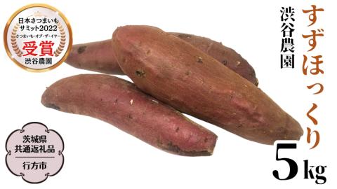 すずほっくり 約5kg 【茨城県共通返礼品／行方市】 渋谷農園 さつまいも  いも 芋 焼芋 [DT005sa]