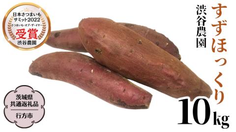 すずほっくり 約10kg 【茨城県共通返礼品／行方市】 渋谷農園 さつまいも  いも 芋 焼芋 [DT006sa]