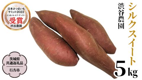 シルクスイート 約5kg (茨城県共通返礼品／行方市) 2025年11月から発送開始 渋谷農園 さつまいも いも 芋 焼き芋 [DT009sa]