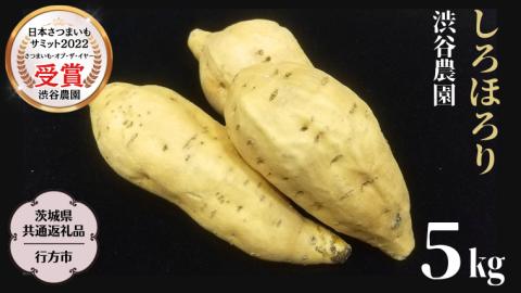 しろほろり 約5kg (茨城県共通返礼品／行方市) 2025年11月から発送開始 渋谷農園 さつまいも いも 芋 焼き芋 [DT011sa]