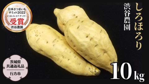 しろほろり 約10kg (茨城県共通返礼品／行方市) 2025年11月から発送開始 渋谷農園 さつまいも いも 芋 焼き芋 [DT012sa]