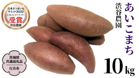 あいこまち 約10kg (茨城県共通返礼品／行方市) 2025年11月から発送開始 渋谷農園 さつまいも いも 芋 焼き芋 [DT014sa]