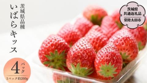 【 2026年 先行予約 】いばらキッス(4パック×1箱)（茨城県共通返礼品／常陸太田市） 茨城県品種 2026年1月上旬発送開始 フルーツ 苺 イチゴ いちご 新鮮 朝採れ 茨城県 桧山FRUITFARM [DY001sa]