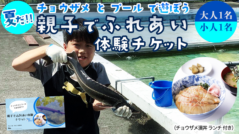 【夏だ!! チョウザメ と プール で遊ぼう】 親子 で ふれあい体験 チケット （チョウザメ漬丼 ランチ 付き）大人1名 小人1名 レジャー アクティビティ 動物ふれあい 夏休み 体験チケット チケット [AI016sa]