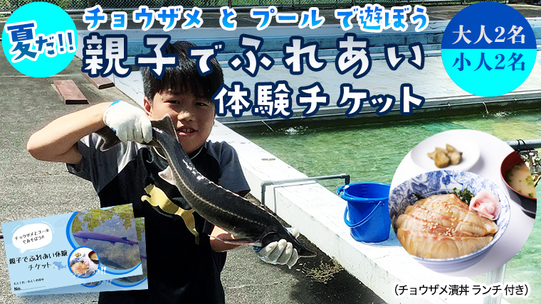 【夏だ!! チョウザメ と プール で遊ぼう】 親子 で ふれあい体験 チケット （チョウザメ漬丼 ランチ 付き）大人2名 小人2名 レジャー アクティビティ 動物ふれあい 夏休み 体験チケット チケット [AI017sa]