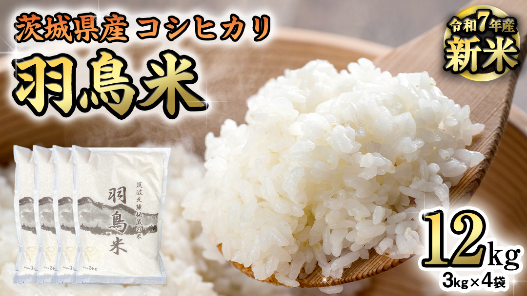 《 令和7年産 先行予約 》 コシヒカリ 「幻の米 羽鳥米」 12kg (3kg × 4袋) 筑波北麓秘蔵米 お米 ごはん 精米 コメ 白米 国産 茨城県 桜川市 限定 期間限定 数量限定 銘柄米 [AX002sa]