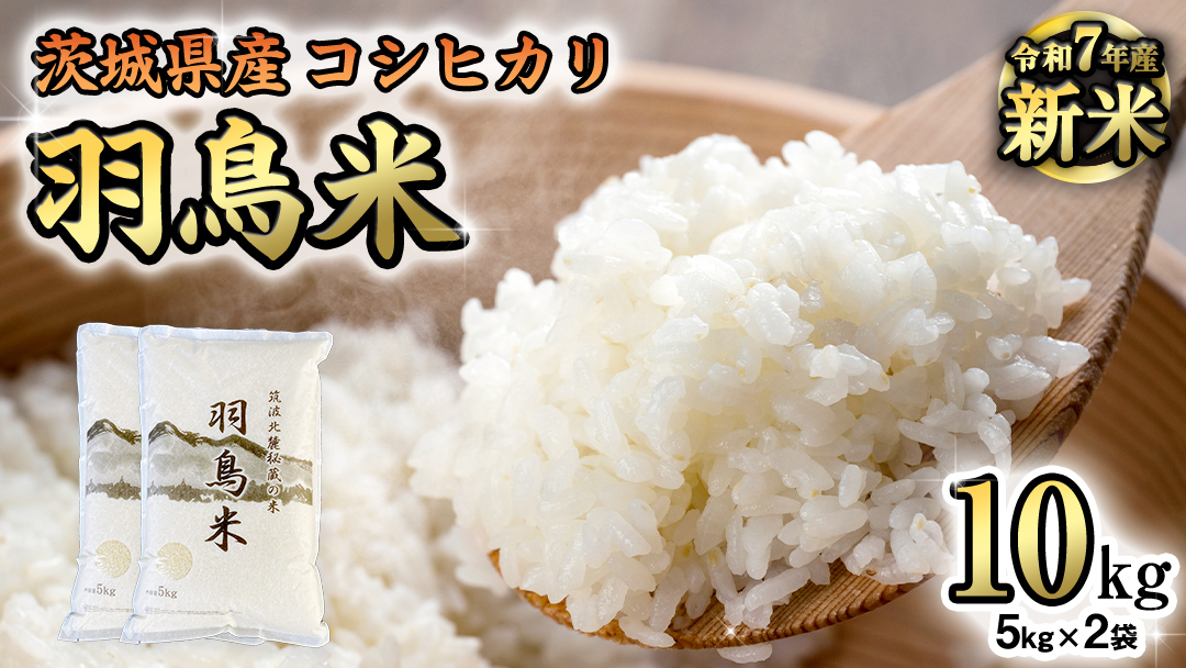 《 令和7年産 先行予約 》 コシヒカリ 「幻の米 羽鳥米」 10kg (5kg × 2袋) 筑波北麓秘蔵米 お米 ごはん 精米 コメ 白米 国産 茨城県 桜川市 限定 期間限定 数量限定 銘柄米 [AX003sa]