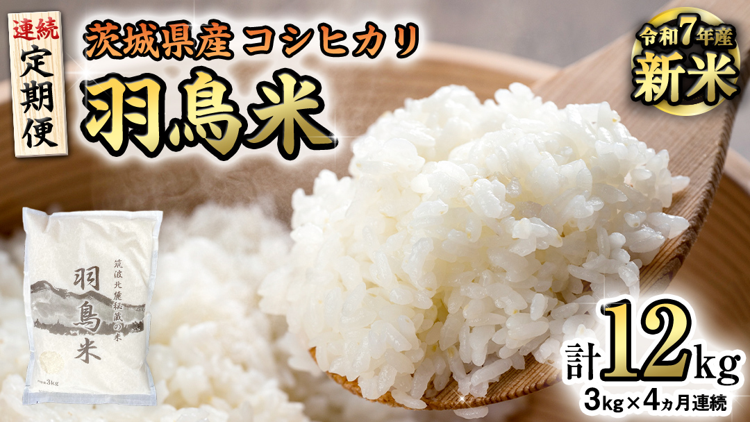 《全4回 定期便》《 令和7年産 先行予約 》 コシヒカリ 「幻の米 羽鳥米」 計 12kg (3kg × 4回) 筑波北麓秘蔵米 お米 ごはん 精米 コメ 白米 国産 茨城県 桜川市 限定 期間限定 数量限定 銘柄米[AX005sa]