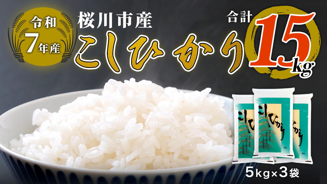【 令和7年産 】 数量限定 桜川市産こしひかり 15kg（5kg×3袋）茨城県産 桜川 米 お米 白米 コメ ごはん 精米 コシヒカリ こしひかり 国産 限定 [AX006sa]
