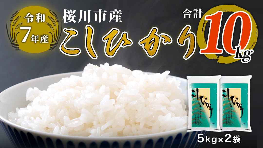 【 令和7年産 】数量限定 桜川市産 こしひかり 10kg（5kg×2袋） 茨城県産 桜川 米 お米 白米 コメ ごはん 精米 コシヒカリ こしひかり 国産 限定 [AX009sa]