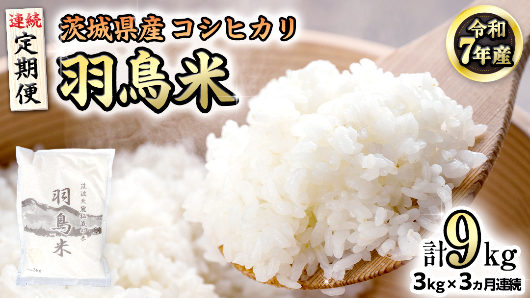 《全3回 定期便》《 令和7年産 先行予約 》 コシヒカリ 「幻の米 羽鳥米」 計 9kg (3kg × 3回)  筑波北麓秘蔵米 お米 ごはん 精米 コメ 白米 国産 茨城県 桜川市 限定 期間限定 数量限定 銘柄米[AX013sa]