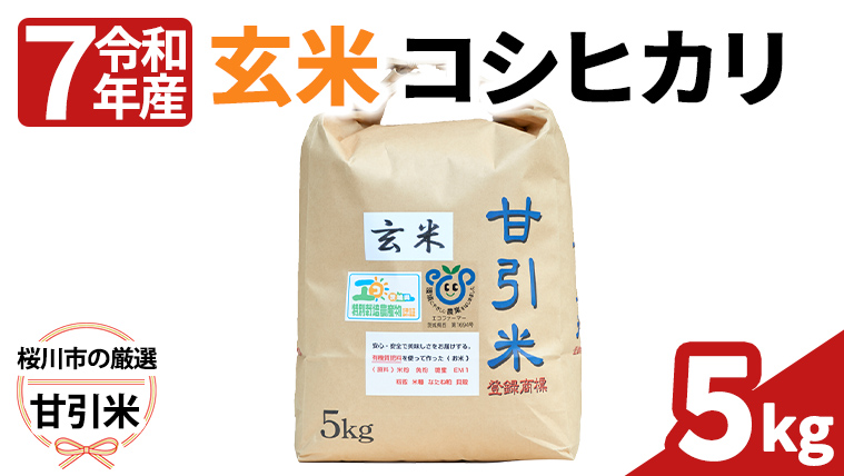 令和7年産 桜川市の 厳選 甘引米 コシヒカリ 玄米 5kg 特別栽培米 コシヒカリ こしひかり 玄米 米 こめ コメ 有機肥料 桜川市産 茨城県 いばらき[BA003sa]