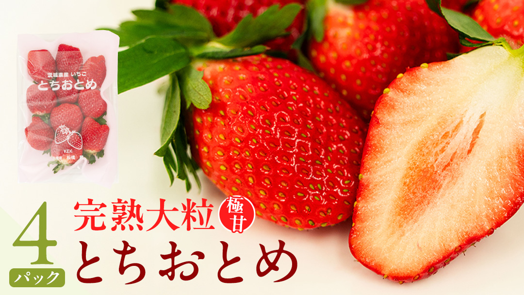 【 2026年1月上旬発送開始 】完熟 とちおとめ 260g×4パック 国産 いちご イチゴ 苺 果物 フルーツ [BC006sa]