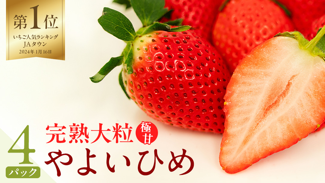 【 2026年1月上旬発送開始 】 完熟 やよいひめ 260g×4パック 国産 いちご イチゴ 苺 果物 フルーツ 茨城県産 [BC007sa]