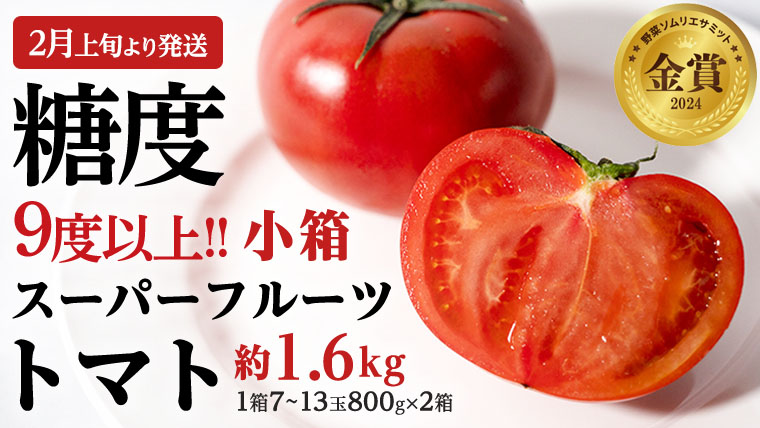 《 2026年収穫分 先行予約 》 糖度9度以上 スーパーフルーツトマト 小箱 約800g × 2箱  (7～13玉/1箱) フルーツトマト ブランドトマト 野菜 ギフト 贈答 [BC016sa]