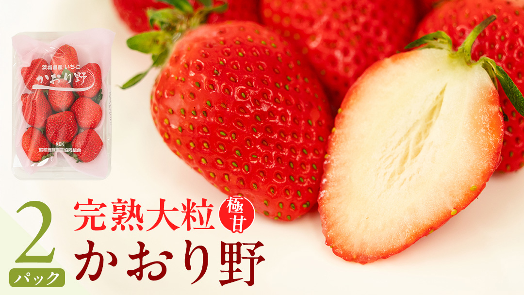 【 2026年1月上旬発送開始 】 完熟 かおり野 260g×2P 国産 いちご イチゴ 苺 果物 フルーツ 茨城県産 KEK 果物 フルーツ [BC024sa]