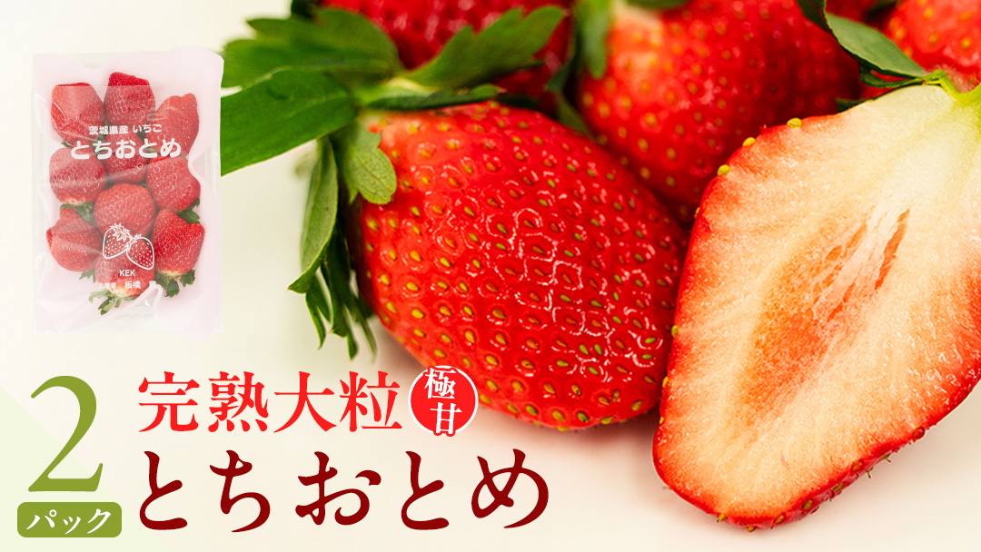 【 2026年1月上旬発送開始 】 完熟 とちおとめ 260g×2P 国産 いちご イチゴ 苺 果物 フルーツ [BC025sa]