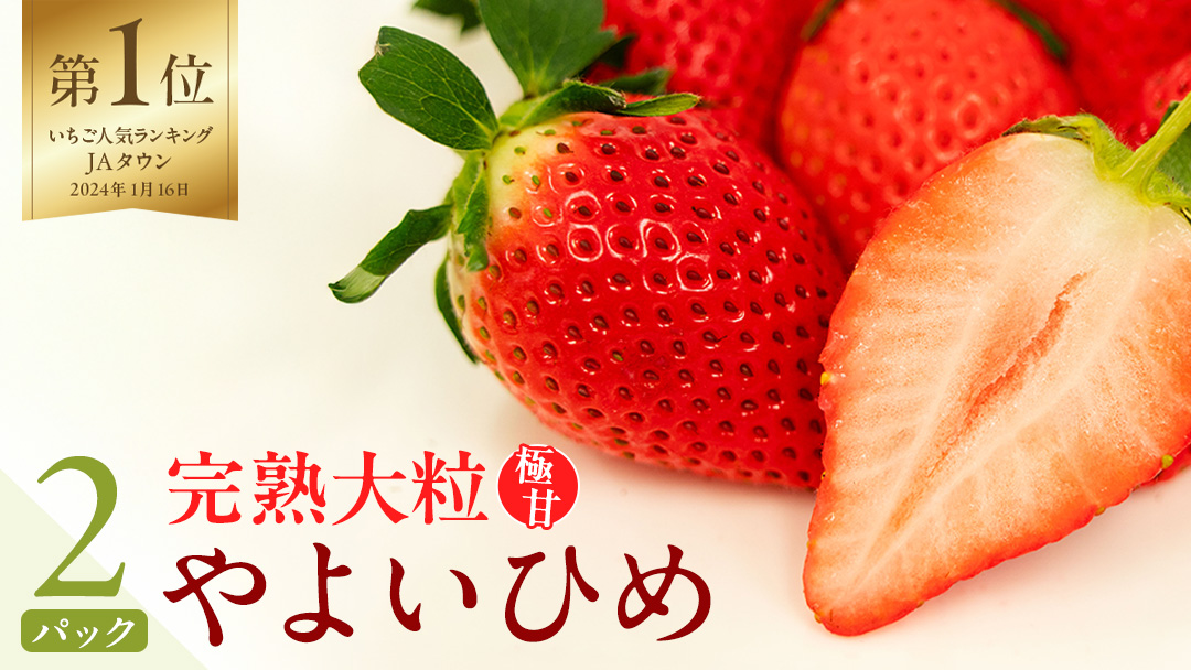 【 2026年1月上旬発送開始 】 完熟 やよいひめ 260g×2P 国産 いちご イチゴ 苺 果物 フルーツ [BC026sa]