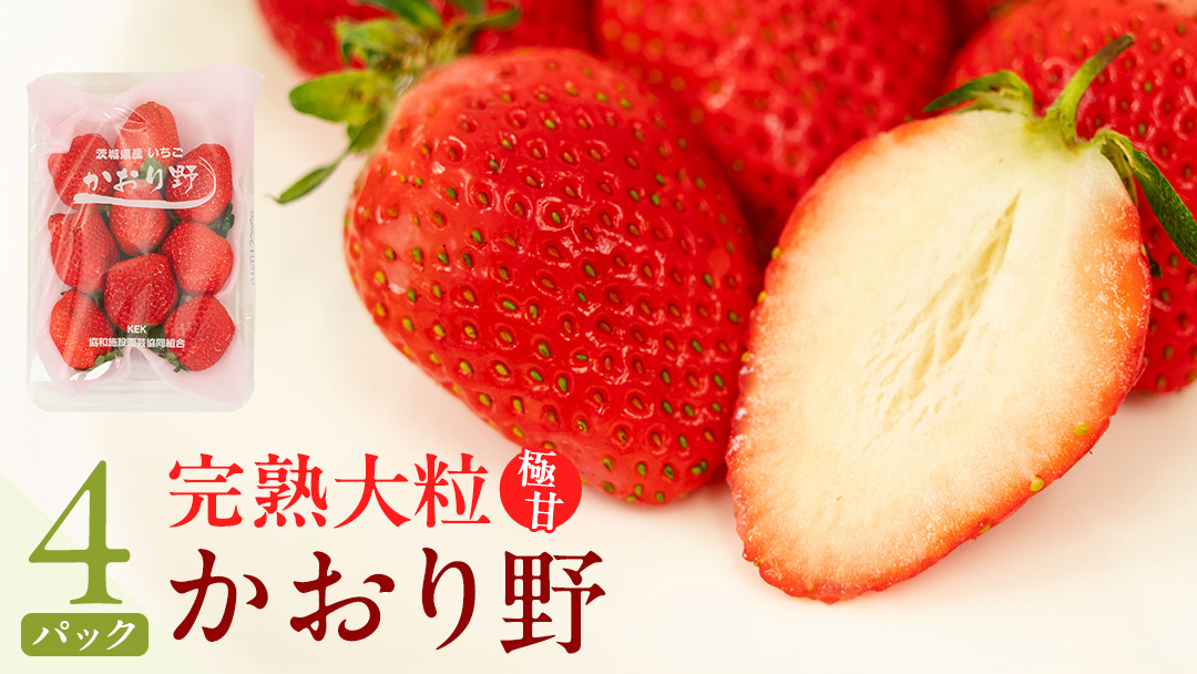 【 2026年1月上旬発送開始 】 完熟 かおり野 260g×4P 国産 いちご イチゴ 苺 果物 フルーツ 茨城県産 KEK 果物 フルーツ [BC032sa]