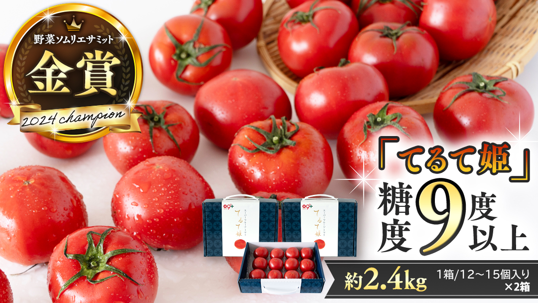 《 テレビで紹介 》【 2026年収穫分 先行予約 】 糖度9度以上 スーパーフルーツトマト てるて姫 中箱 約1.2kg × 2箱 【12?15玉/1箱】  フルーツトマト ブランドトマト 野菜 ギフト 贈答 青空レストラン アド街ック天国 グッドモーニング 黄金のワンスプーン [BC034sa]