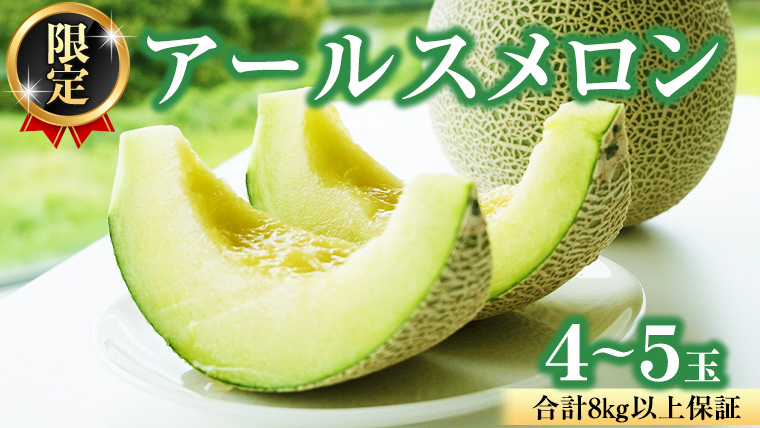 【2025年8月下旬発送開始】 季節 限定 ！甘さ満点 アールス メロン 大箱 （ 4?5玉 ） 果物 フルーツ 農家直送 産直 青肉メロン 特産品 マスクメロン メロン くだもの 茨城 [BC046sa]