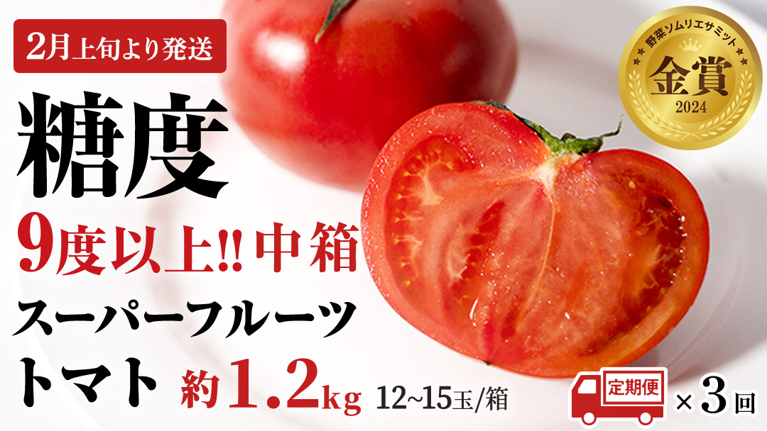 《 2026年収穫分 先行予約 》《 3回 定期便 》 糖度9度以上 スーパーフルーツトマト 中箱 約1.2kg × 1箱 × 3回 フルーツトマト ブランドトマト 野菜 ギフト 贈答 [BC049sa]