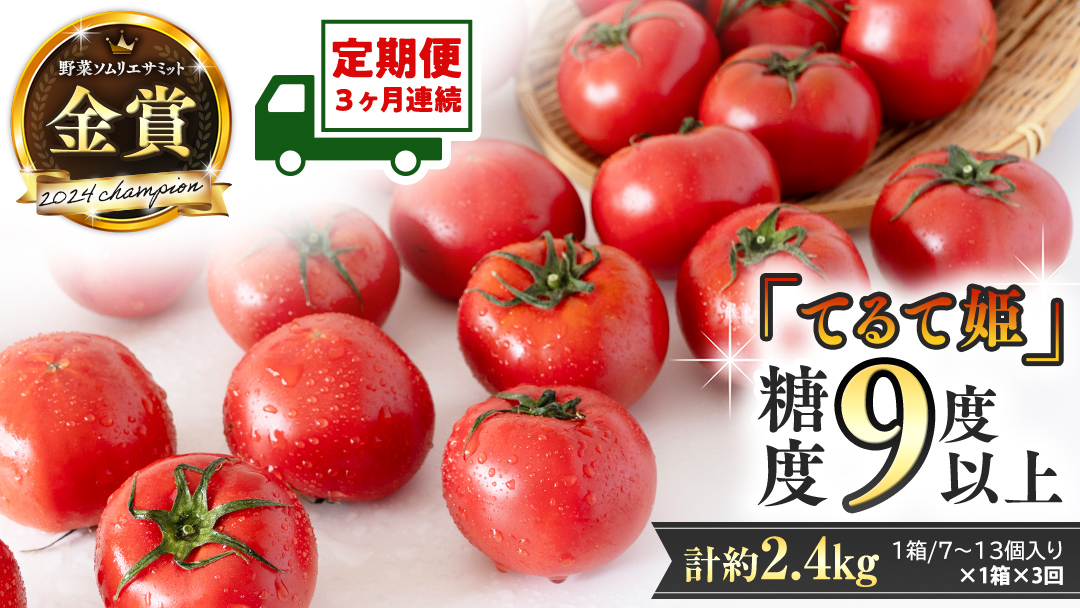 《 テレビで紹介 》【 2026年収穫分 先行予約 】【 3回 定期便 】 糖度9度以上 スーパーフルーツトマト てるて姫 小箱 約800g × 1箱 × 3回 フルーツトマト ブランドトマト 野菜 ギフト 贈答 青空レストラン アド街ック天国 グッドモーニング 黄金のワンスプーン [BC052sa]