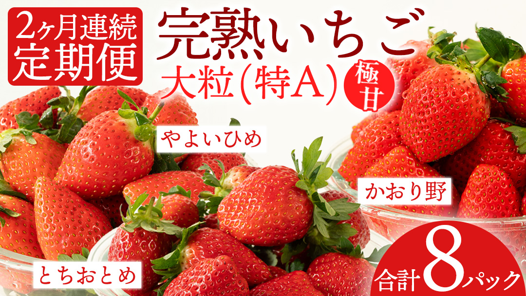 【2ヵ月 定期便】 完熟 いちご 4パック × 2回 合計 8パック （1P約260g） 国産 イチゴ 苺 果物 くだもの フルーツ かおり野 とちおとめ やよいひめ 茨城県産 KEK [BC074sa]
