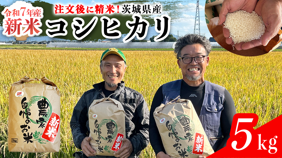 【令和7年】茨城県産 コシヒカリ 5kg 令和7年産 新米 単一原料米 精米 米 お米 コメ 白米 こしひかり 茨城県 [BC084sa]