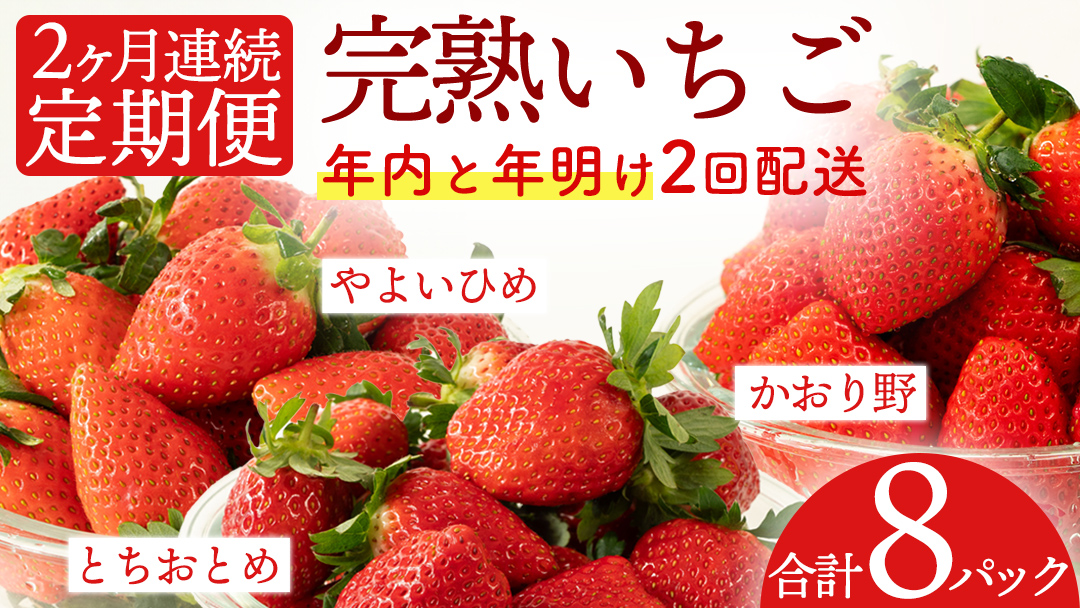 【2ヵ月連続】 採れたて完熟いちご 定期便（260g×4パック×2回／12月・1月お届け） かおり野 とちおとめ やよいひめ 国産 イチゴ 苺 [BC093sa]