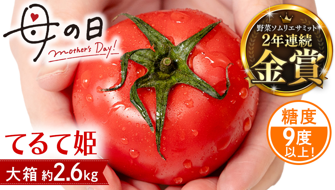 【母の日専用】 スーパーフルーツトマト てるて姫 大箱 約2.6kg ×1箱 糖度9度以上 《5月4日～10日お届け メッセージカード付》 トマト とまと 野菜 母の日 ギフト 贈り物 プレゼント 感謝 記念日 [BC094sa]