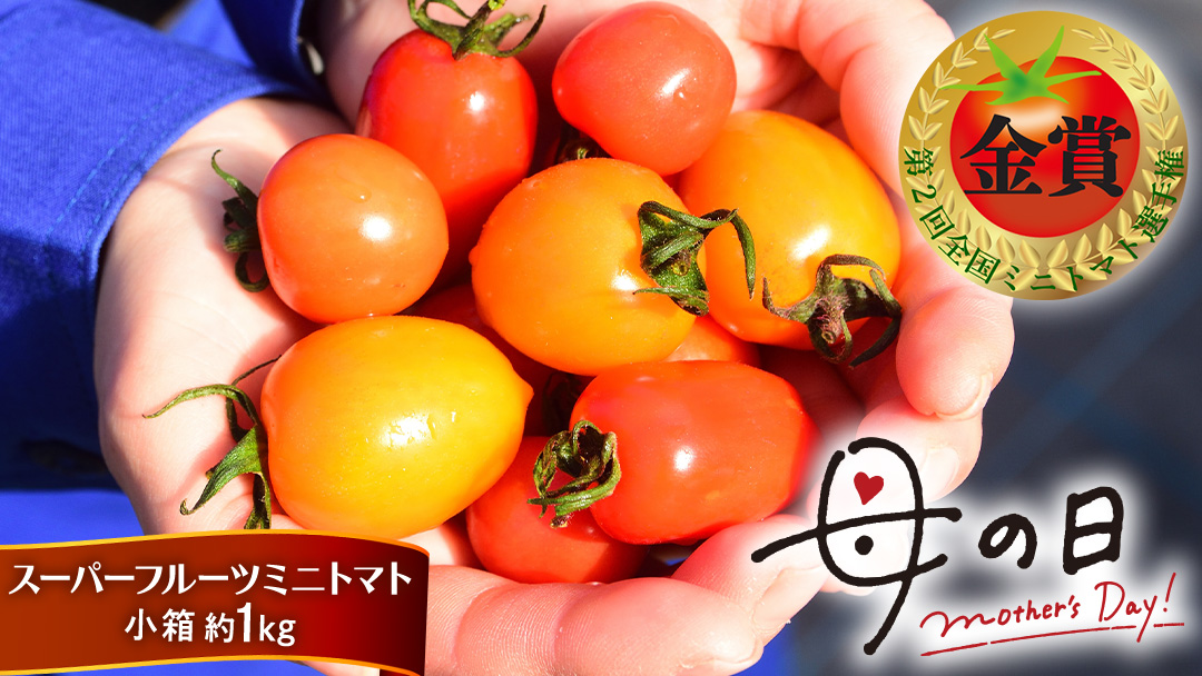 【母の日専用】 スーパーフルーツミニトマト 小箱 約1kg ×1箱 《5月4日～10日お届け メッセージカード付》 ミニトマト フルーツトマト ブランドトマト 野菜 母の日 ギフト 贈り物 プレゼント 感謝 記念日 [BC097sa]