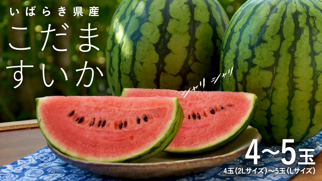 こだますいか 4～5玉 《2026年5月中旬から発送開始》 小玉すいか こだますいか 小玉 スイカ 西瓜 果物 フルーツ 茨城 農家直送 産地直送 [BQ015sa]