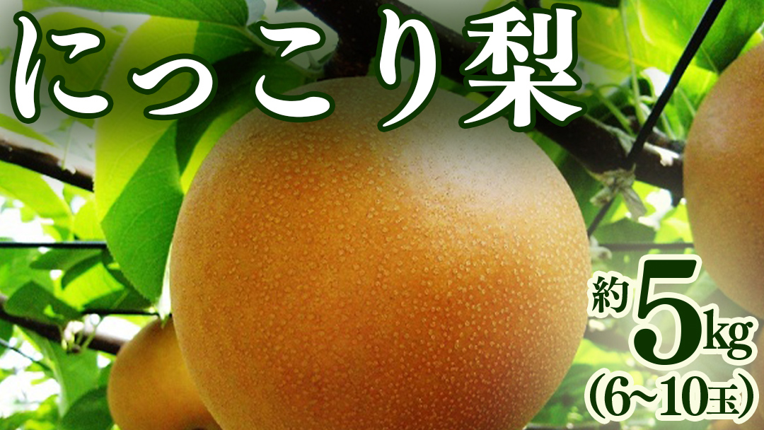 にっこり梨 約 5kg （6～10玉） 2026年産 先行予約 梨 果物 フルーツ なし ナシ にっこり くだもの デザート 茨城 [BQ023sa]