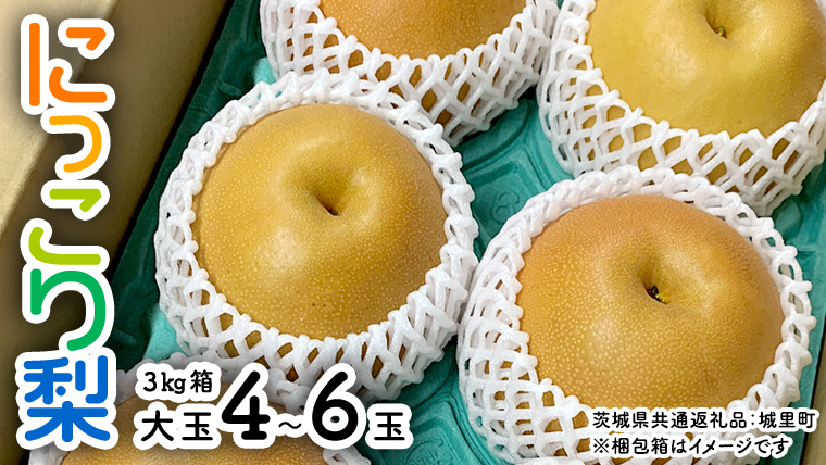 【 先行予約 】 にっこり梨 約3kg 箱 大玉 4玉～6玉 ( 茨城県共通返礼品 城里町 ) 2025年11月上旬から発送開始 フルーツ 甘い お正月 クリスマス 大玉 直送 茨城 限定 [CO001sa]
