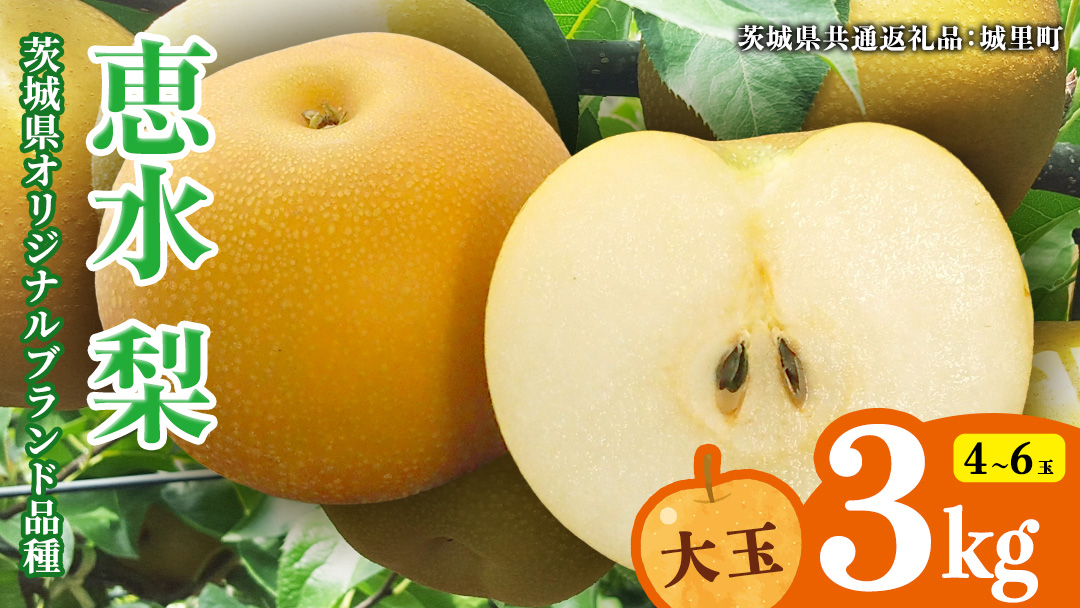 恵水梨 約3kg 4玉～6玉 (茨城県共通返礼品:城里町) 2026年 梨 なし 和梨 フルーツ 甘い オリジナル 大玉 直送 茨城 限定 [CO004sa]