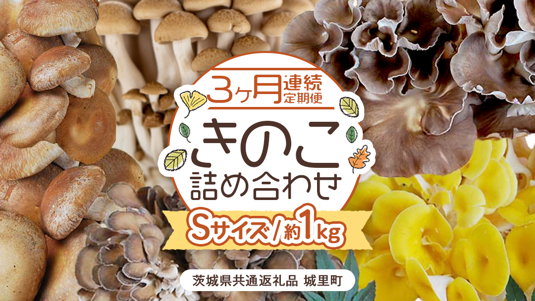 《 ３ヶ月 連続定期便 》 きのこ の 詰め合わせ Sサイズ 約1kg （茨城県共通返礼品 城里町） 定期便 キノコ 舞茸 あわび茸 たもぎ茸 しいたけ ぶなしめじ セット 鍋 炒め物 [CX005sa]