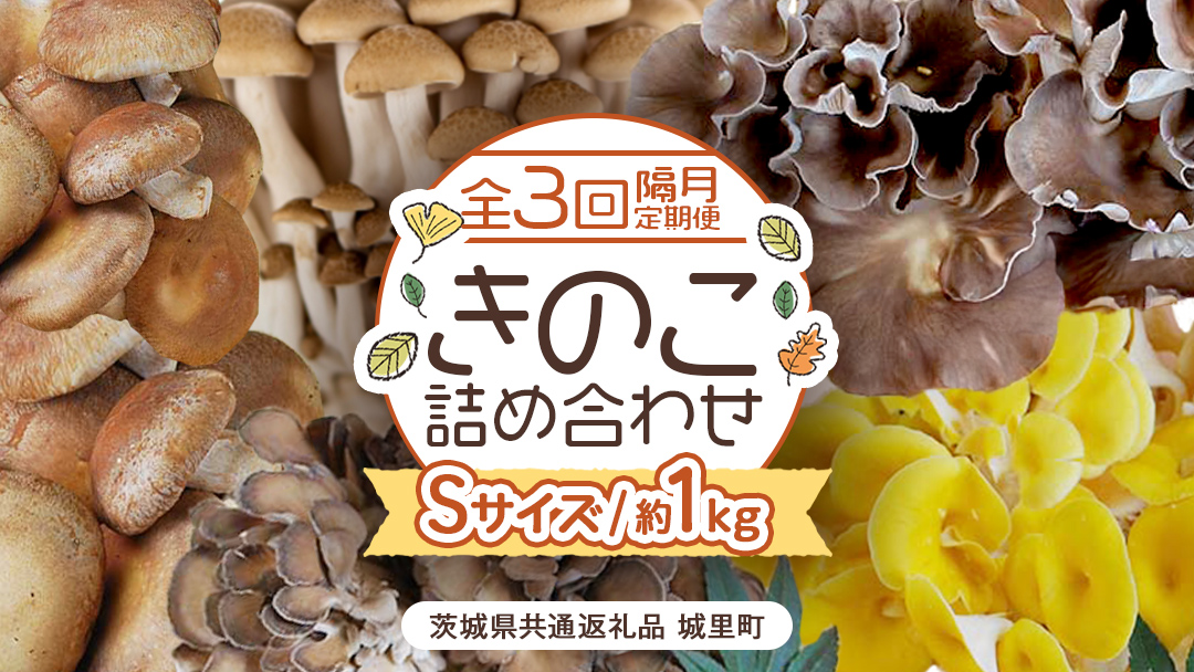 《 全３回 隔月定期便 》 きのこ の 詰め合わせ Sサイズ 約1kg （茨城県共通返礼品 城里町） 定期便 キノコ 舞茸 あわび茸 たもぎ茸 しいたけ ぶなしめじ セット 鍋 炒め物 [CX008sa]