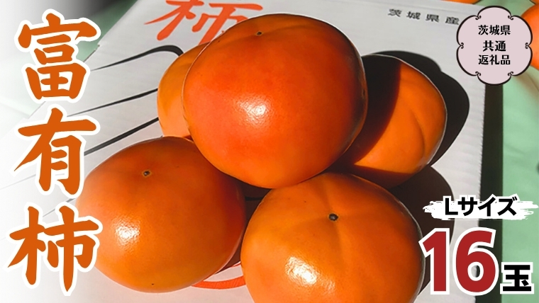 【 先行予約 2025年11月中旬以降発送 】富有柿 L 16玉 (茨城県共通返礼品 石岡市)  果物 くだもの フルーツ 柿 かき [DC001sa]
