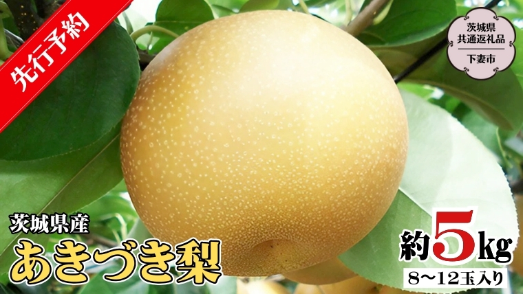【 先行予約 】 茨城県産 あきづき 梨 5kg 8玉～12玉入り  (茨城県共通返礼品／下妻市）  ( 2024年8月上旬発送開始 )  梨 数量限定 なし ナシ フルーツ 果物 [DF003sa]