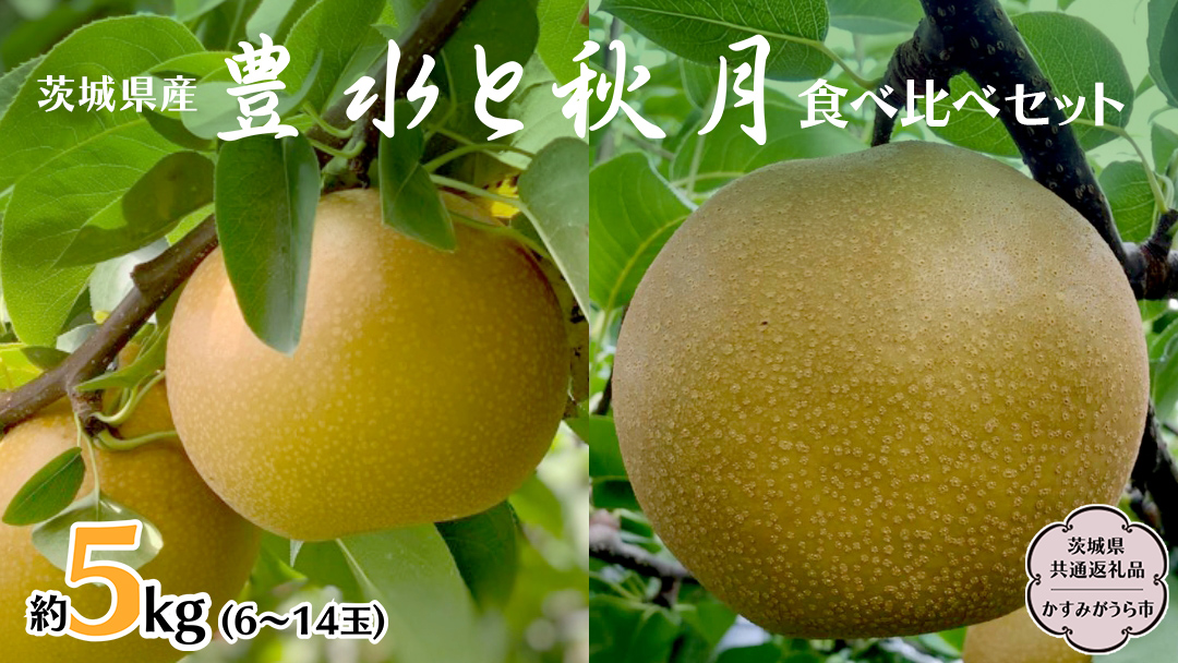 【 先行予約 】 茨城県産 梨 豊水 と 秋月 の 食べ比べ セット 約5kg 6玉～14玉 ( 茨城県共通返礼品 かすみがうら市 )  (2025年9月上旬発送開始) 産地直送 久保田果樹園 フルーツ 甘い 直送 茨城 限定 ギフト 梨 秋月 あきづき 豊水 ほうすい 果物 [DH005sa]