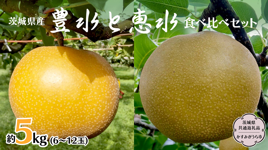 【先行予約】梨 豊水と恵水の食べ比べセット 約5kg (茨城県共通返礼品 かすみがうら市) （2025年9月中旬発送開始） 産地直送 久保田果樹園 [DH016sa]